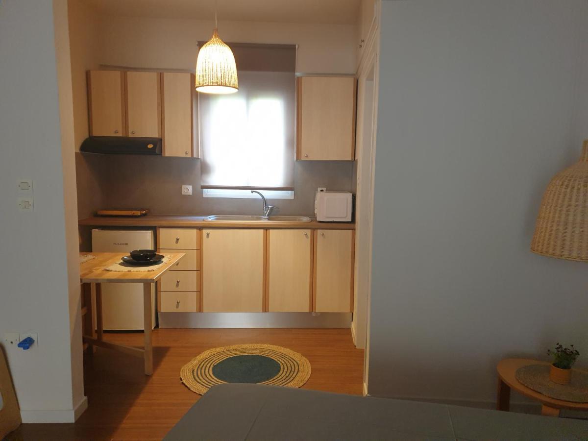 A Pleasent Small -Studio Close To The Port Of Волос Екстериор снимка